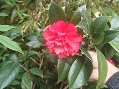 -小茶闲舍·观景商务茶馆(广州塔店)