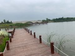 -西京湾花海