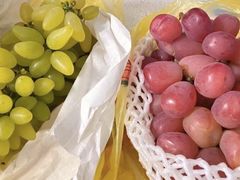 -马陆小张葡萄园农家乐