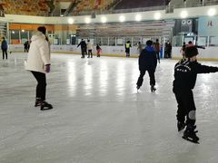 -松江大学城体育馆滑冰馆