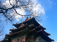 景观位-TRB Forbidden City(故宫店)