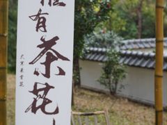 -深圳国际园林花卉博览园