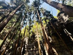 -梭布垭石林景区