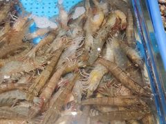 -加餐海鲜自助(宝龙一城店)