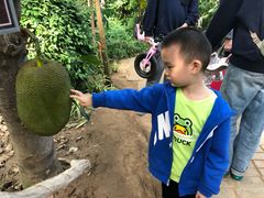 -呀路古热带植物园
