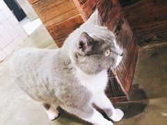 -MIKAKU(万达广场上海宝山店)