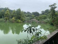 -张坝桂圆林公园