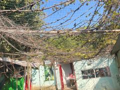 -东湖小天池真人CS彩弹野战基地