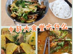 -中科大东区东苑餐厅(天使路店)