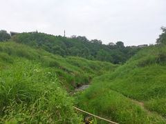 -金海湾滨江公园