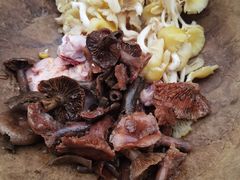 -云南野生菌石锅鱼石锅鸡(大金塔店)