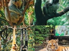 -广州长隆野生动物世界