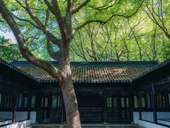 -上海醉白池公园