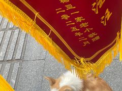 -宠颐生宠物医院(·宠保定点·鹰潭分院)