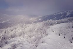 -大秃顶子山(雪谷店)