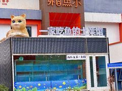 -向外鱼乐·土菜·虹鳟鱼