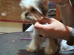 -MARSMART PETS火星宠物超市(1733店)