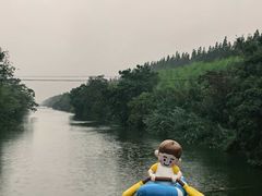 -黄海国家森林公园