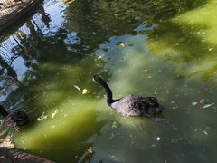 -昆明动物园