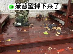 -七仙岭君澜度假酒店