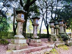 -奈良公园
