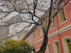 -浙江省杭州高级中学(贡院校区)