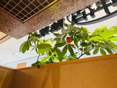 -新太二·鲜料川菜(晶耀前滩店)