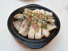 -点都德·毕德寮
