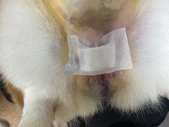 -宠颐生中康贝怡动物医院