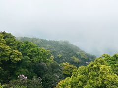-梧桐山风景名胜区