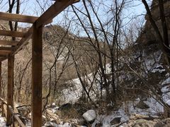-大岭沟猕猴桃谷风景区