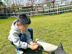 -南通洲际绿博园