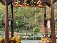 -野象谷景区