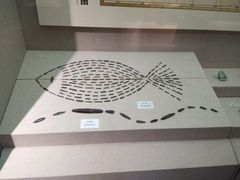 -巴音郭楞蒙古自治州博物馆