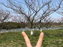 -上海海湾国家森林公园