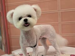 -FAELING PETS美天灵宠物(合生汇店)