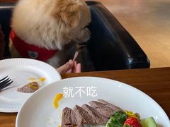 -百好乐宠物友好餐厅(朝外大街店)