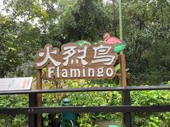 -广州长隆野生动物世界
