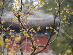 -国家植物园