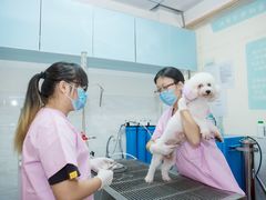 -谐和贝康宠物医院24小时·宠保定点(急重症转诊中心)