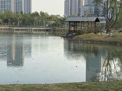 -后襄河公园