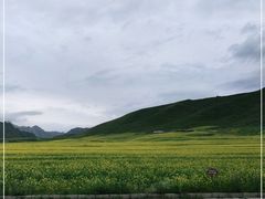 -扁都口生态休闲旅游区