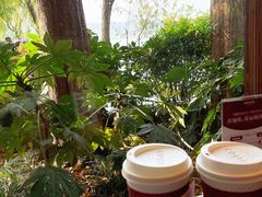-COSTA COFFEE(西湖天地店)