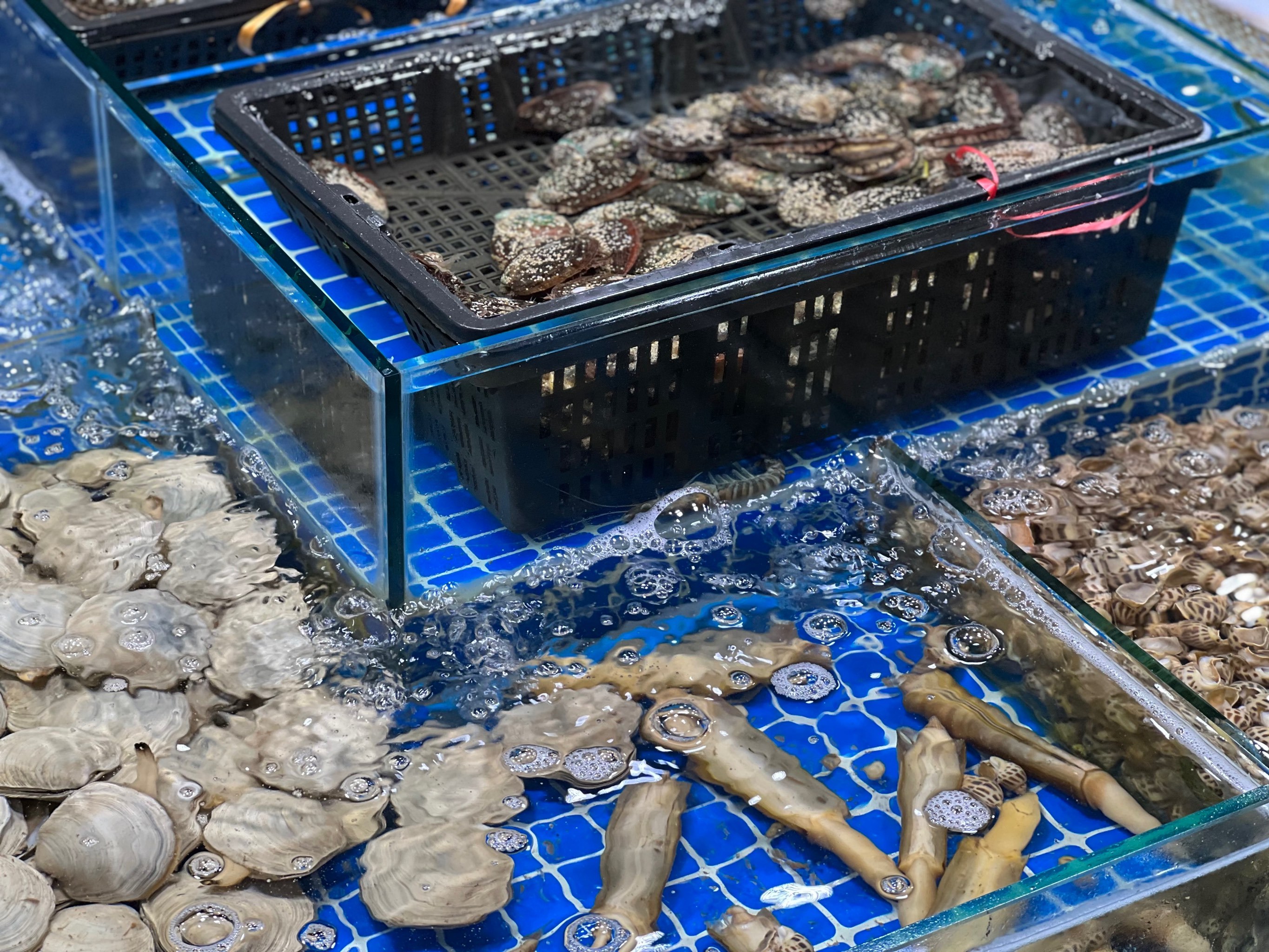 海鲜水产交易市场的简单介绍 海鲜水产买卖
业务
市场的简单

先容
（海鲜水产批发生意怎么做） 水产
