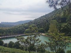 -九龙潭景区