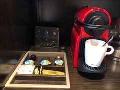 -新加坡瑞士史丹福酒店