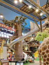 -卡通尼·Safari非洲探索乐园·生日会(金桥国际商业广场店)