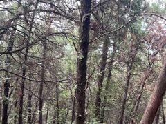 -云龙山