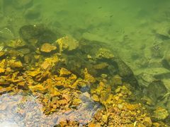 -湖洞水自然风景区