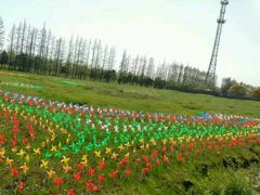 -上海长兴岛郊野公园